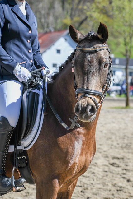 曼联考虑签下巴莱巴，期待填补中场空缺，暂无戈麦斯交易计划。
