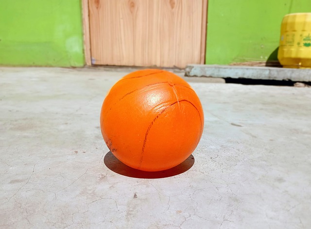 湖人浓眉哥关键封盖力助球队获胜